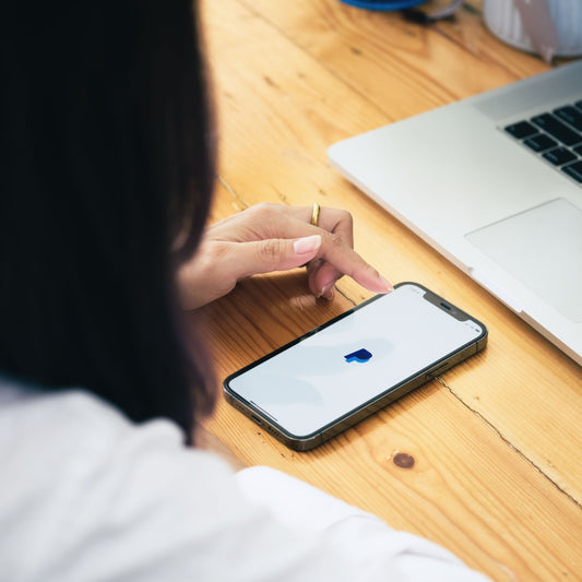 Shopify Using PayPal Step-by-Step Guide-1