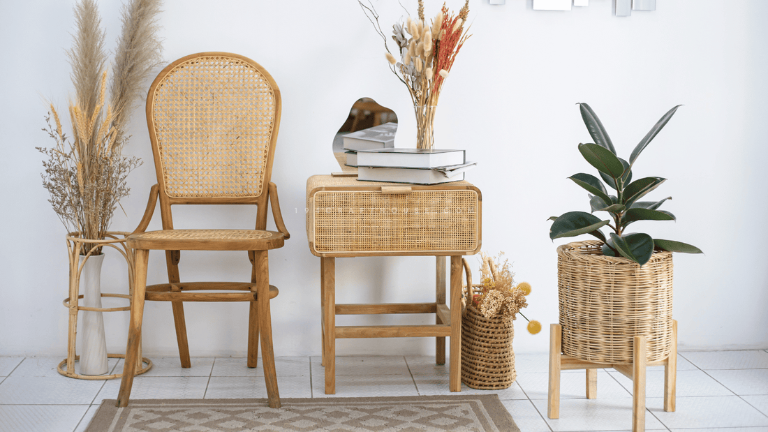 What is Rattan and Everything You Need To Know It 194 Craft House