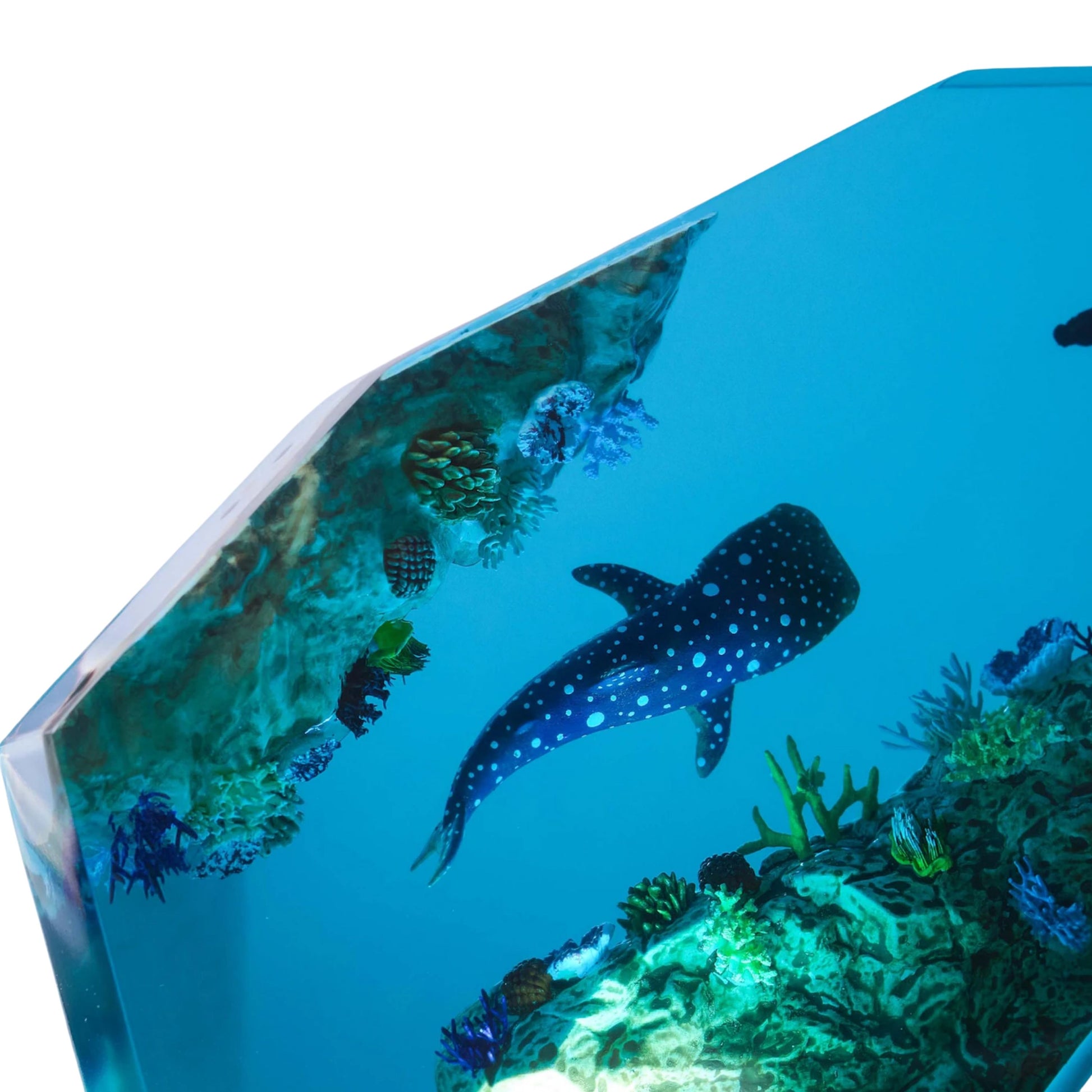 Shark Ocean Resin Night Light: Resin Lamp Streamer & Playroom Decor, Personalized Gift