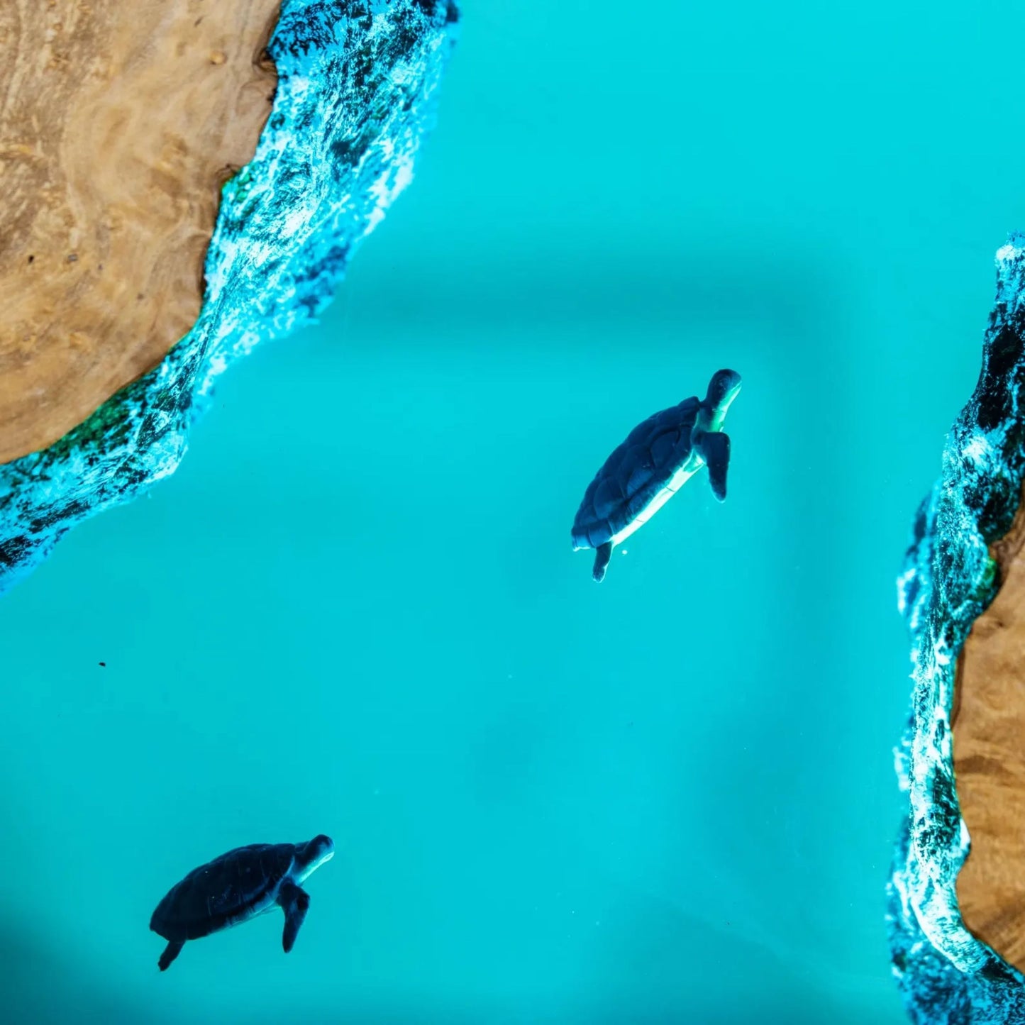 Turtle and Scuba Diver Ocean Resin Night Light: Resin Lamp Streamer & Playroom Decor, Personalized Gift