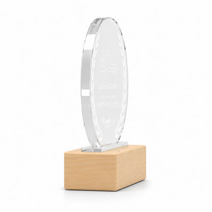 Personalized Crystal Award with Wooden Base: Custom Plaques, Awards and Trophies Corporate Gift for Clients, Employee Recognition Gift, Appreciation Gifts, Company Anniversary Gifts, Achievement Award.