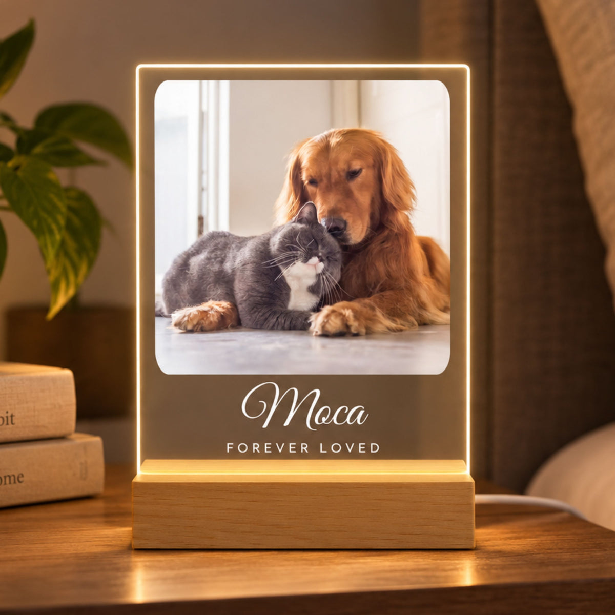 Personalized Pet Memorial Night Light - Custom Photo & Name Tribute