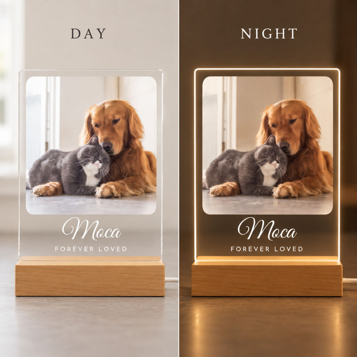 Personalized Pet Memorial Night Light - Custom Photo & Name Tribute