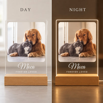 Personalized Pet Memorial Night Light - Custom Photo & Name Tribute