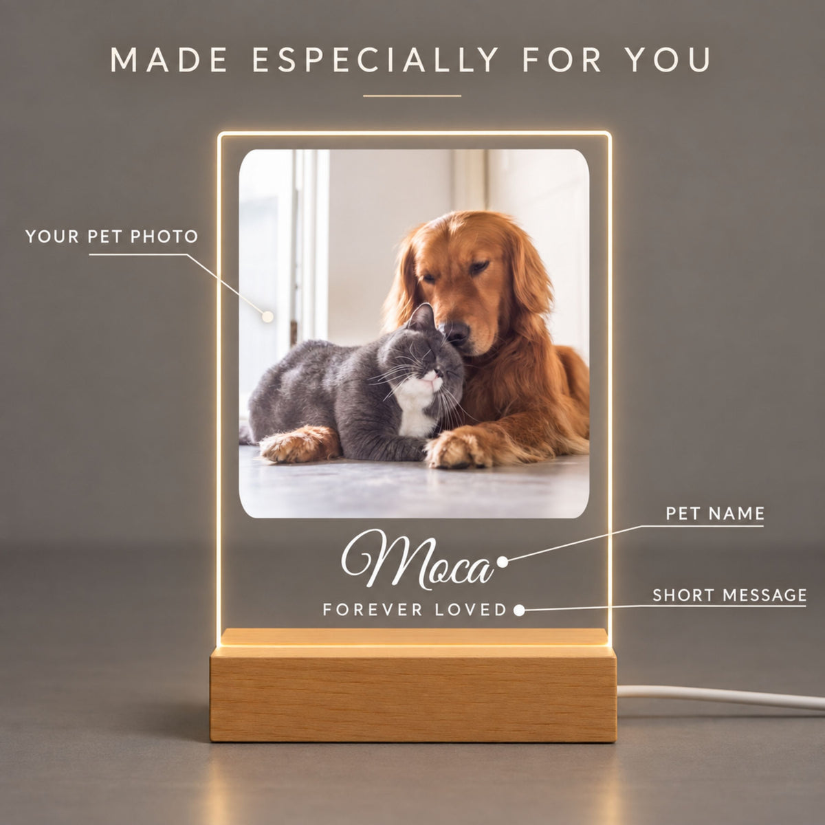 Personalized Pet Memorial Night Light - Custom Photo & Name Tribute