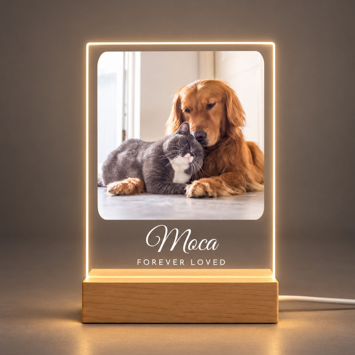 Personalized Pet Memorial Night Light - Custom Photo & Name Tribute