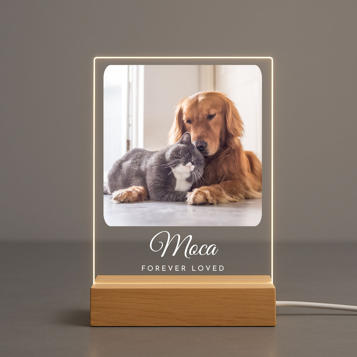 Personalized Pet Memorial Night Light - Custom Photo & Name Tribute