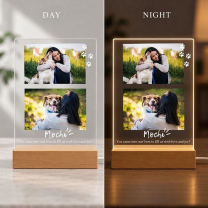 Custom Pet Photo Night Light - Personalized 2 Photo Acrylic Lamp
