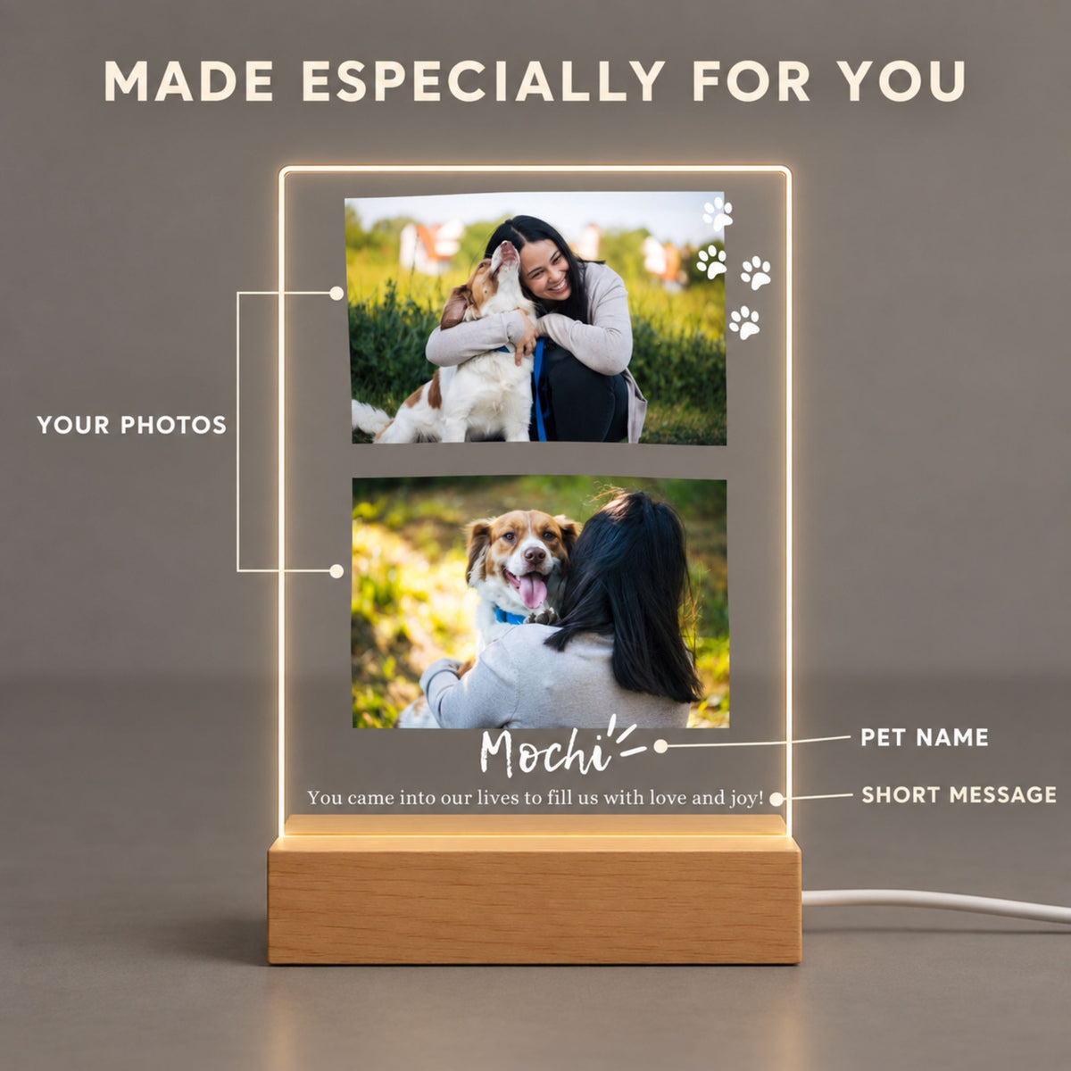 Custom Pet Photo Night Light - Personalized 2 Photo Acrylic Lamp