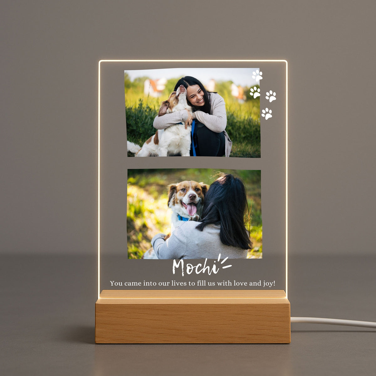 Custom Pet Photo Night Light - Personalized 2 Photo Acrylic Lamp