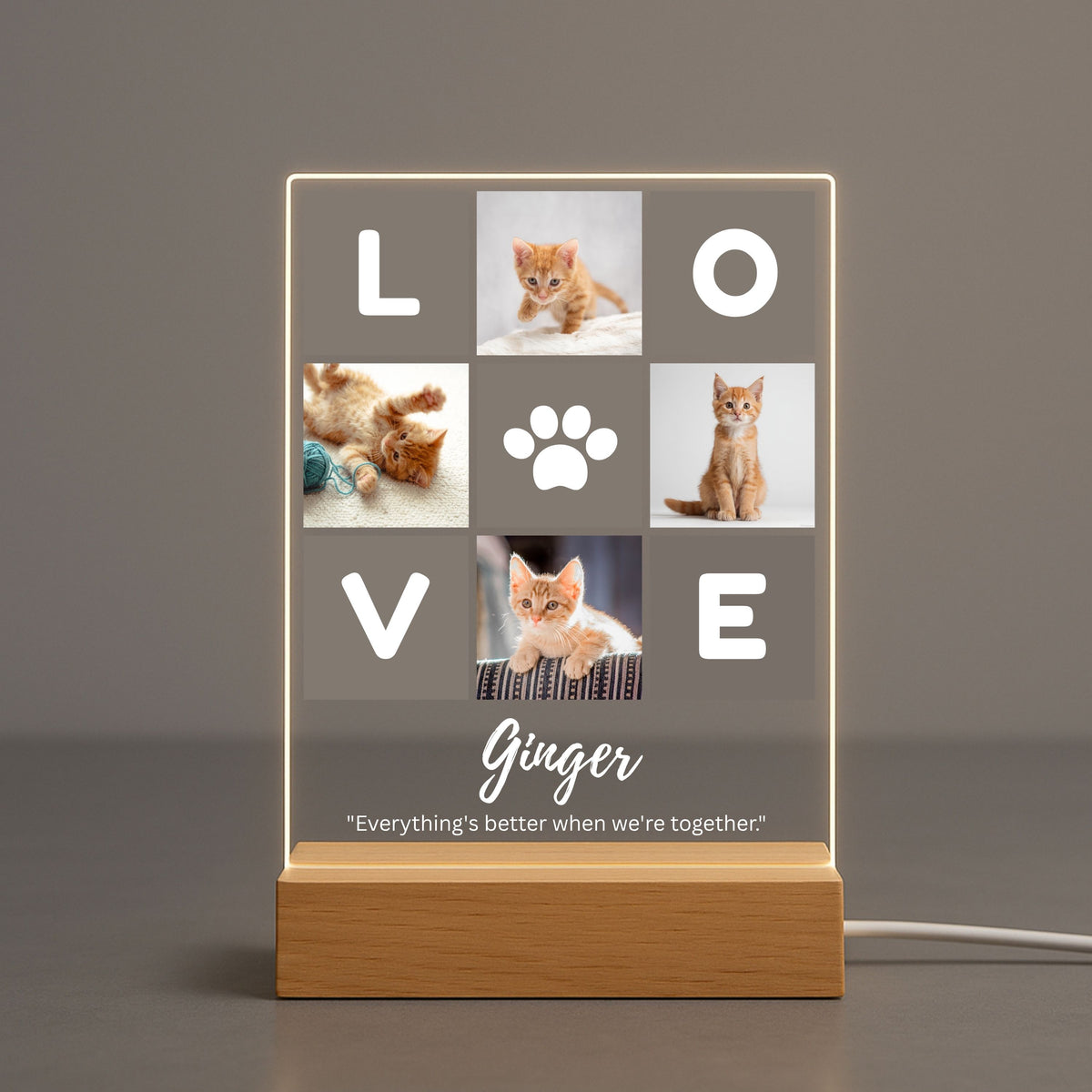 Straight-on studio shot of custom four-photo pet love collage acrylic night light with warm LED light border against a neutral gray background.