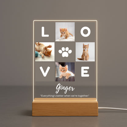 Straight-on studio shot of custom four-photo pet love collage acrylic night light with warm LED light border against a neutral gray background.