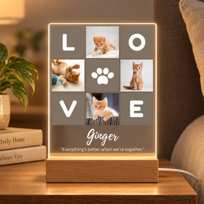 Personalized pet collage acrylic night light featuring LOVE grid typography, paw print, four orange kitten photos, name Ginger, and quote on a wooden base beside books.