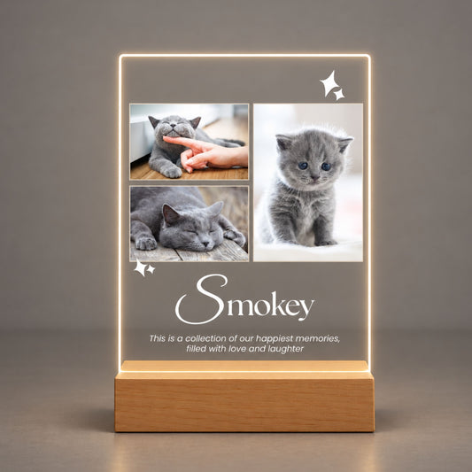 Studio front view of illuminated three-picture cat keepsake acrylic plaque glowing warm white on a natural wooden LED base.