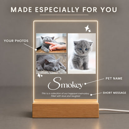 Customization layout guide for three-photo pet acrylic night light showing personalization areas for pet photos, name, and short custom tribute message.
